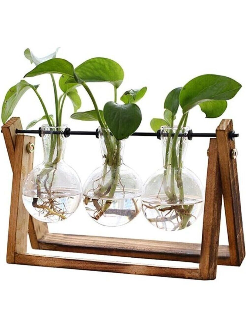 Plant Terrarium Wooden Stand,Air Planter Bulb Glass Vase Tabletop Home Garden